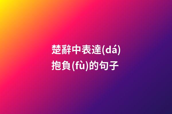 楚辭中表達(dá)抱負(fù)的句子