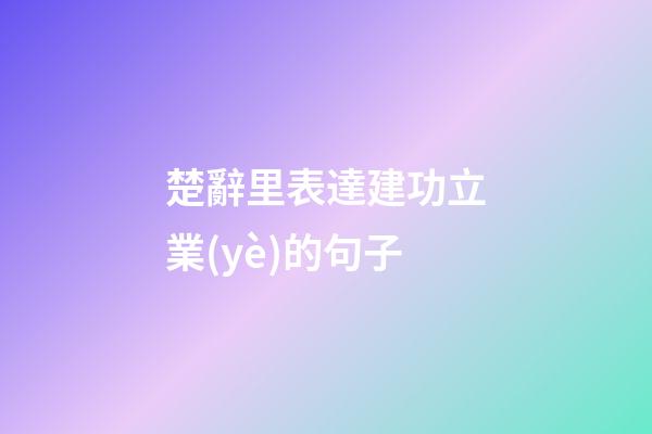 楚辭里表達建功立業(yè)的句子