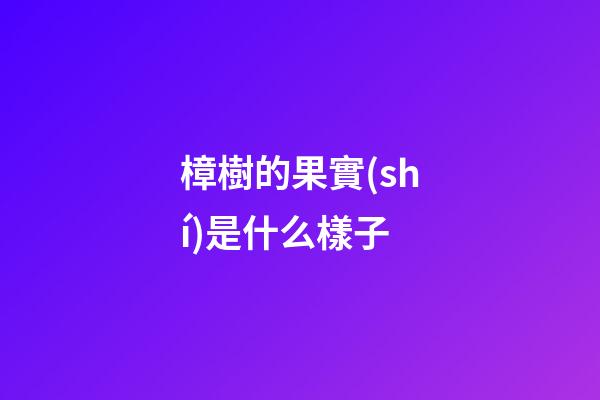 樟樹的果實(shí)是什么樣子