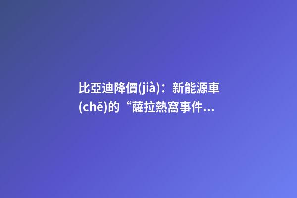 比亞迪降價(jià)：新能源車(chē)的“薩拉熱窩事件”