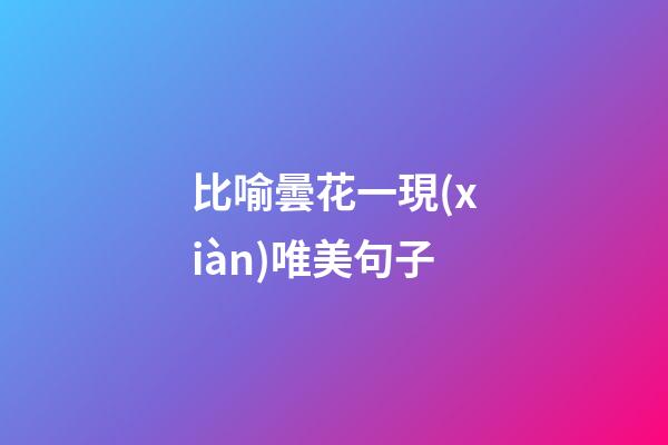 比喻曇花一現(xiàn)唯美句子