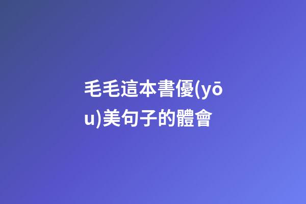 毛毛這本書優(yōu)美句子的體會