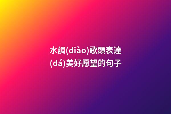 水調(diào)歌頭表達(dá)美好愿望的句子