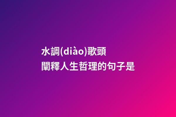 水調(diào)歌頭闡釋人生哲理的句子是