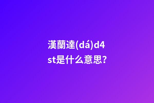 漢蘭達(dá)d4st是什么意思？