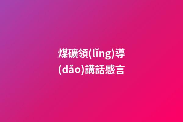 煤礦領(lǐng)導(dǎo)講話感言