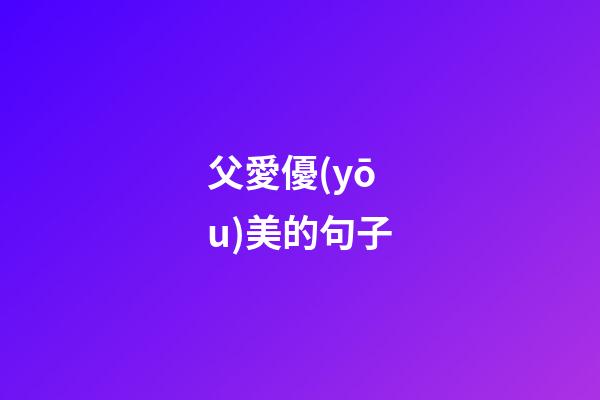 父愛優(yōu)美的句子