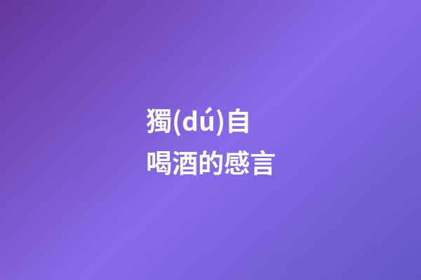 獨(dú)自喝酒的感言