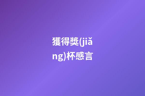 獲得獎(jiǎng)杯感言