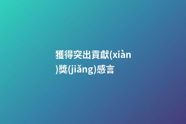 獲得突出貢獻(xiàn)獎(jiǎng)感言