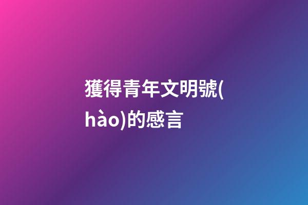 獲得青年文明號(hào)的感言