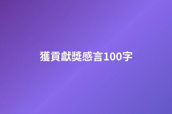 獲貢獻獎感言100字