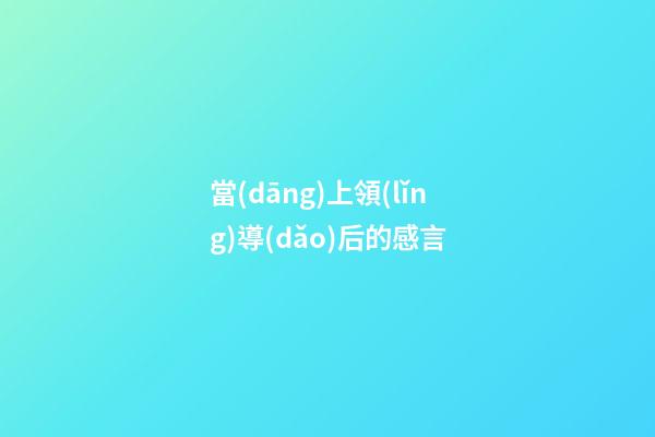 當(dāng)上領(lǐng)導(dǎo)后的感言