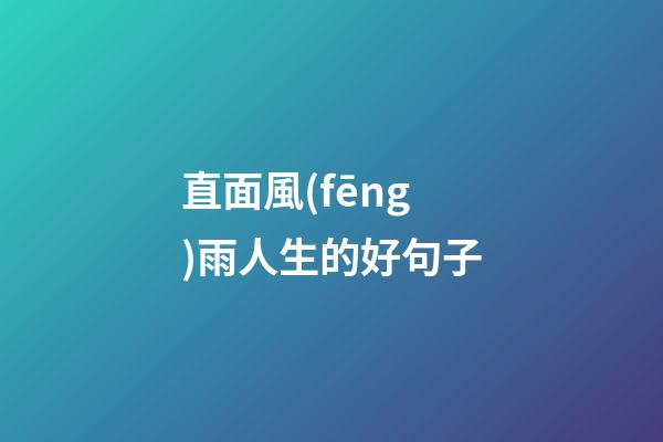 直面風(fēng)雨人生的好句子