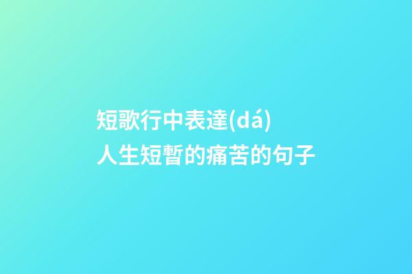 短歌行中表達(dá)人生短暫的痛苦的句子