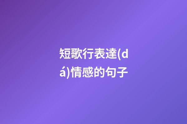 短歌行表達(dá)情感的句子