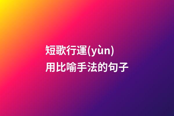 短歌行運(yùn)用比喻手法的句子