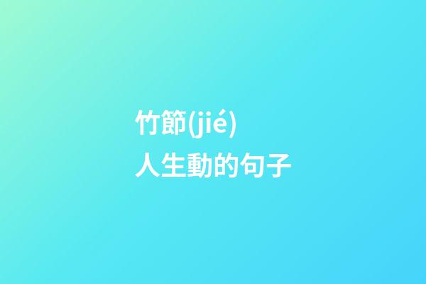 竹節(jié)人生動的句子