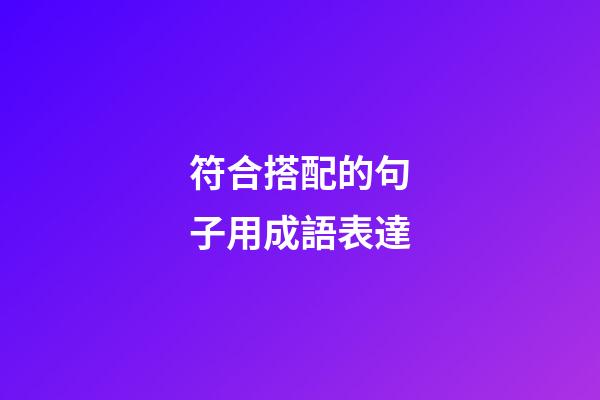 符合搭配的句子用成語表達