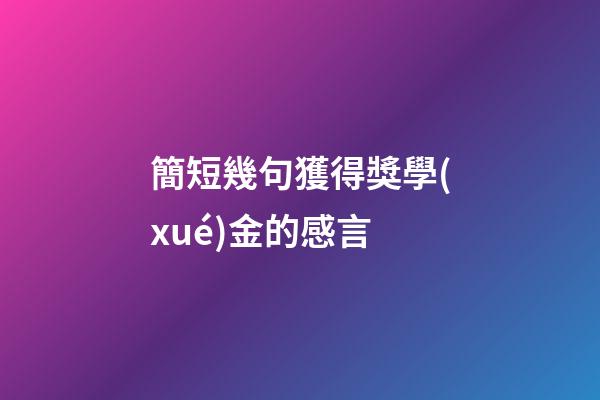 簡短幾句獲得獎學(xué)金的感言