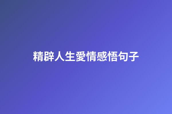 精辟人生愛情感悟句子