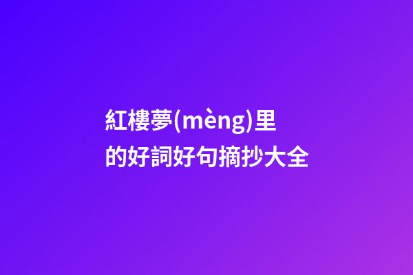 紅樓夢(mèng)里的好詞好句摘抄大全