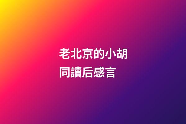 老北京的小胡同讀后感言