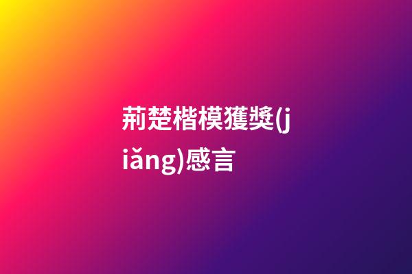 荊楚楷模獲獎(jiǎng)感言