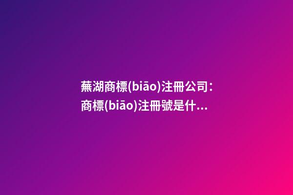 蕪湖商標(biāo)注冊公司：商標(biāo)注冊號是什么？