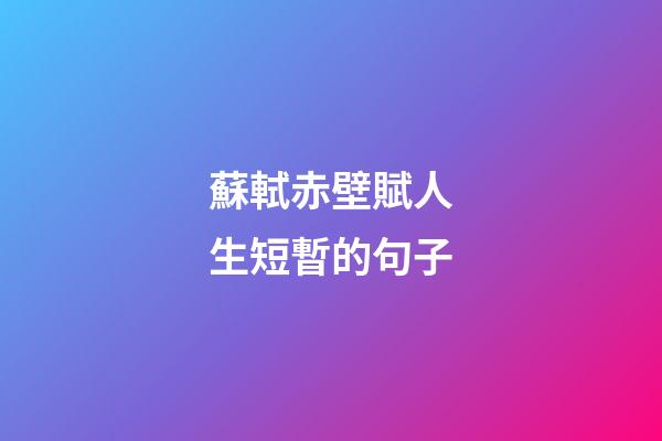 蘇軾赤壁賦人生短暫的句子