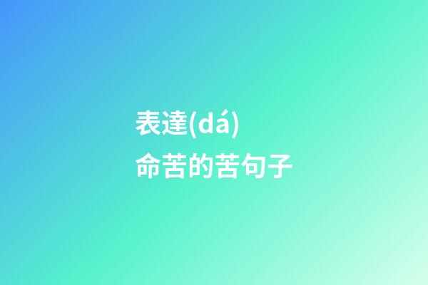 表達(dá)命苦的苦句子