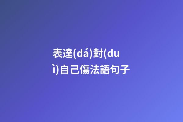 表達(dá)對(duì)自己傷法語句子