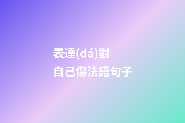 表達(dá)對自己傷法語句子