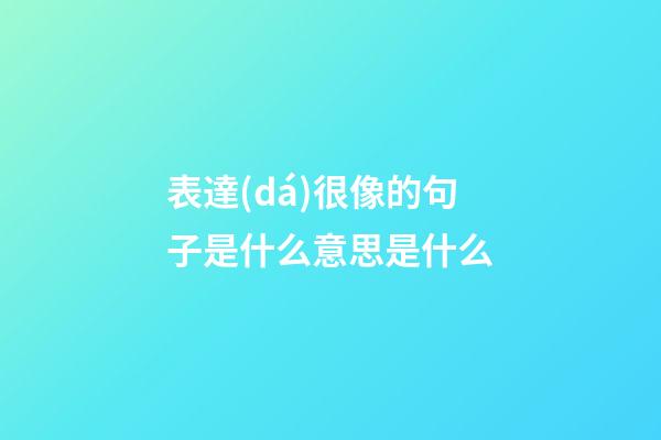 表達(dá)很像的句子是什么意思是什么