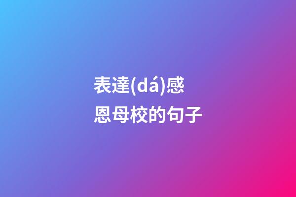 表達(dá)感恩母校的句子