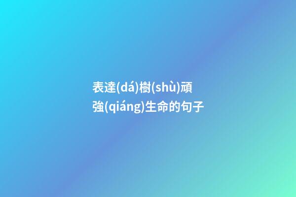 表達(dá)樹(shù)頑強(qiáng)生命的句子