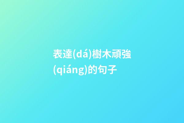 表達(dá)樹木頑強(qiáng)的句子