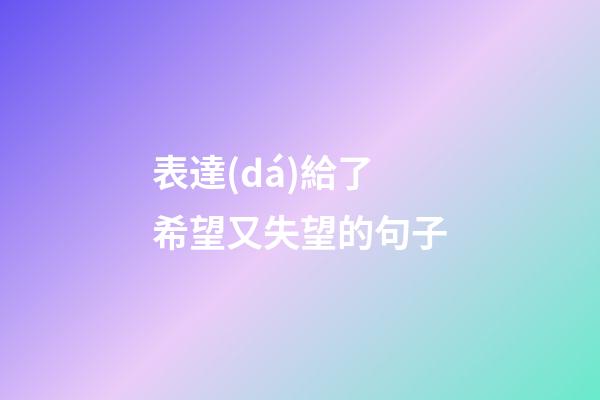 表達(dá)給了希望又失望的句子