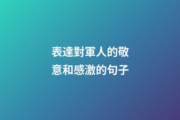 表達對軍人的敬意和感激的句子