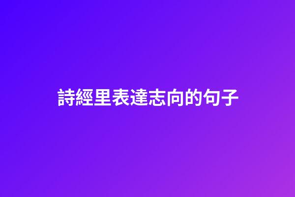 詩經里表達志向的句子