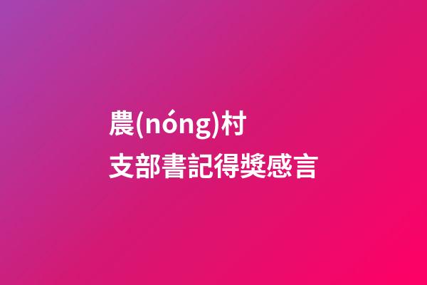 農(nóng)村支部書記得獎感言