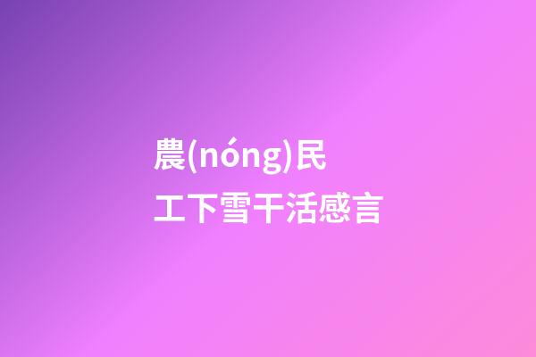 農(nóng)民工下雪干活感言