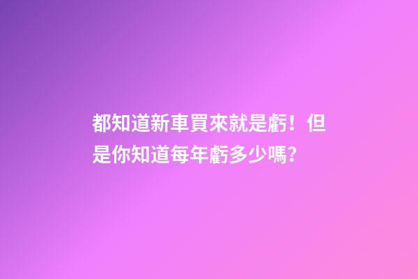 都知道新車買來就是虧！但是你知道每年虧多少嗎？