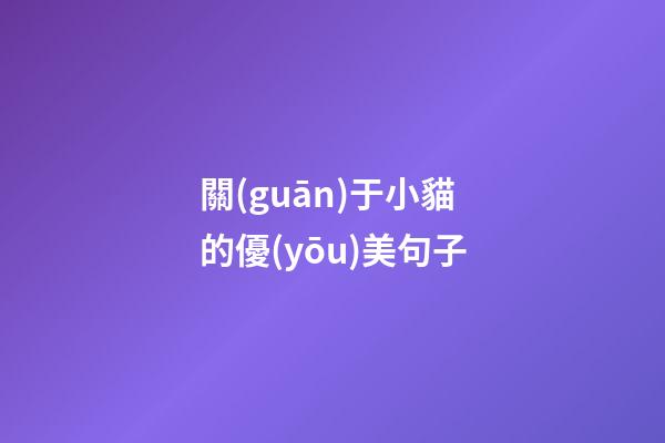 關(guān)于小貓的優(yōu)美句子