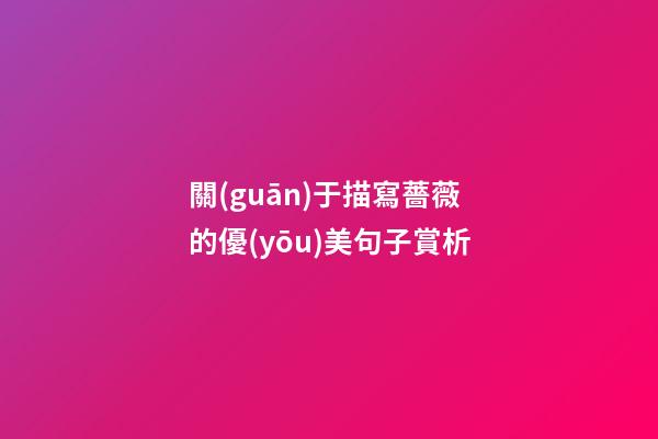 關(guān)于描寫薔薇的優(yōu)美句子賞析