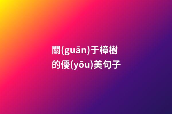 關(guān)于樟樹的優(yōu)美句子