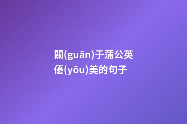 關(guān)于蒲公英優(yōu)美的句子