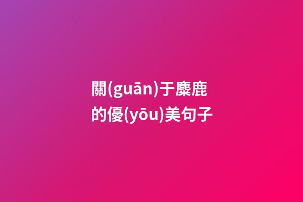 關(guān)于麋鹿的優(yōu)美句子