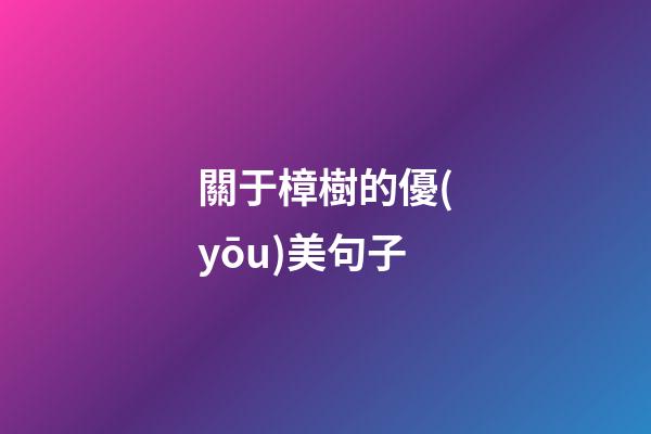 關于樟樹的優(yōu)美句子