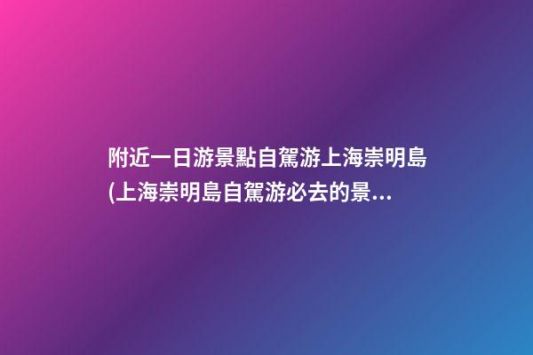 附近一日游景點自駕游上海崇明島(上海崇明島自駕游必去的景點)